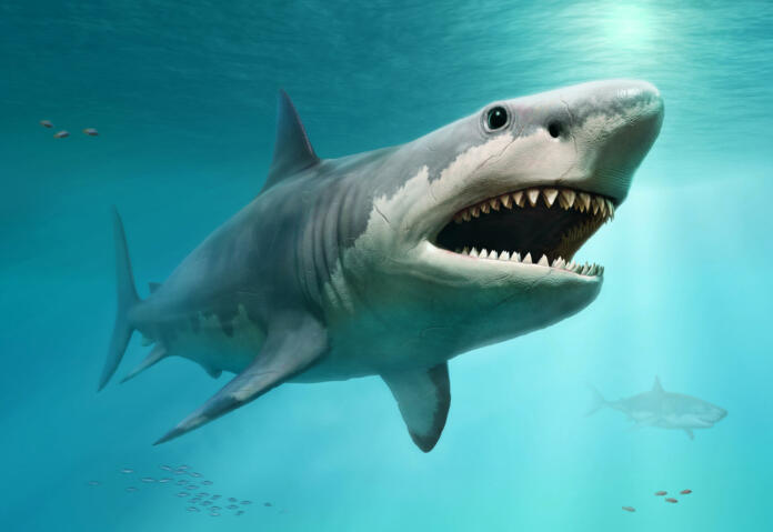 Megalodon from prehistoric times scene 3D illustration