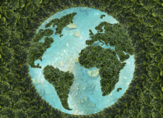 10 zanimivih dejstev o nas in našem planetu, ki jih verjetno še ne veš Planet earth on a green background. Green continents made from the crown of a tree. Clear azure water. The ecological concept of the survival of the planet.