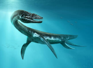 Plesiosaurus from prehistoric times scene 3D illustration