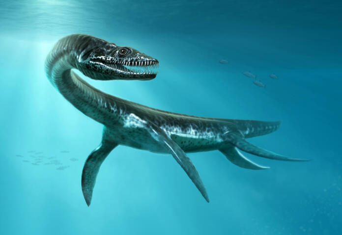 Plesiosaurus from prehistoric times scene 3D illustration