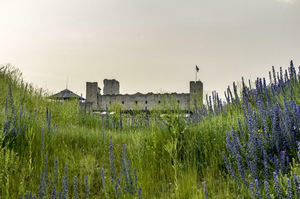 Travnik z gradom