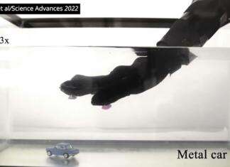 Izumljene nove rokavice, s katerimi dobiš spretnosti hobotnice rokavica v akvariju in avtomobilček