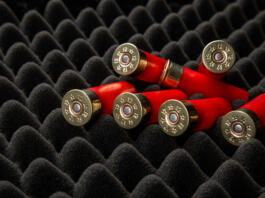 Shotgun shells on foam rubber. Ammunition for 12 gauge smoothbore weapons. Hunting ammunition. Dark background.