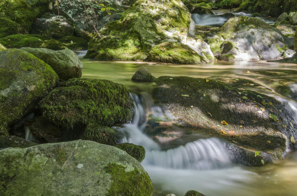 The Bistriški vintgar is a picturesque gorge of the Bistrica stream full of natural beauties and historical remains of human life and work.