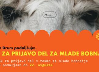 Grafična podoba s ključnimi podatki za podaljšan rok prijave