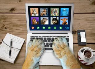 Kako izgledati najboljše na video klicu? video call, video, conference