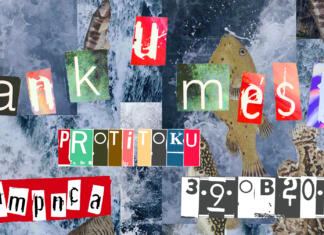 Revolucija v Novem mestu plakat