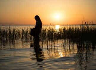 Ocena filma: Tam, kjer pojejo raki Tam, kjer pojejo raki je film posnet po istoimenski knjižni predlogi