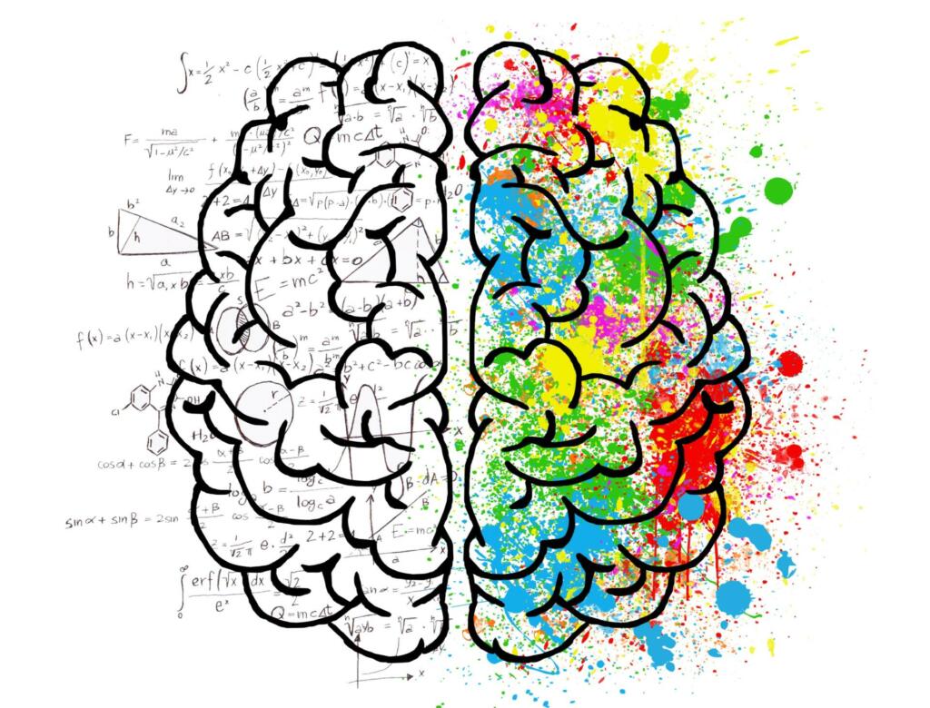 Skica možganov z matematičnimi formulami na levi in barvitimi packami na desni strani