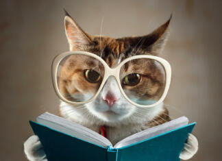 Schrödingerjeva mačka: Najljubši in najbolj nerazumljen ljubljenček kvantne mehanike Cat in glasses holding a turquoise book and strictly looks into the camera. Concept of education, knowledge, etc.