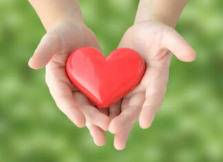 DA BO VSEM TOPLO (PRI SRCU)! Child's hands covering heart object on natural green background