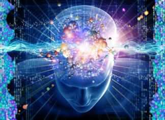 Po čem se naši možgani razlikujejo od živalskih? Collage of human head, molecules and various abstract elements on the subject of modern science, chemistry, physics, human and artificial minds