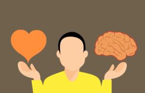 decision, brain, heart