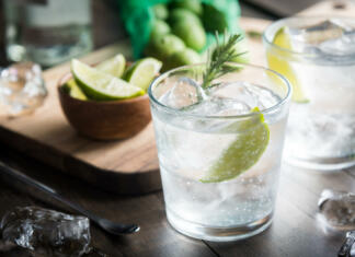 Najboljši recepti za gin tonik fresh gin tonic