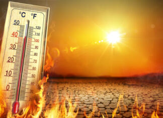 Letošnje vroče poletje je podiralo rekorde Heat Temperature - Thermometer, Warm Sun And Dry Soil - Extreme Climate - contain 3d Rendering