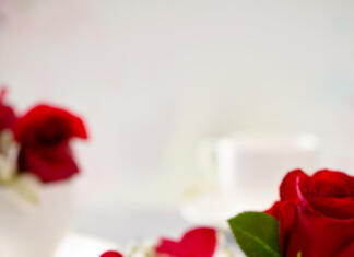 Si za dozo ljubezni? Na valentinovo uživaj v lepših in kvalitetnejših odnosih! Light mousse cakes for Valentines Day garnished with rose petals