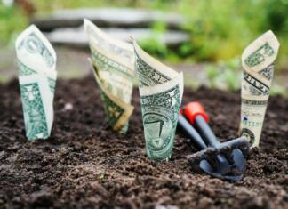 Najcenejši bančni račun za mlade: kako ga najti? money, grow, interest