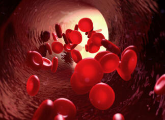 Poskrbi za svoj hemoglobin 3d illustration blood in blood vessel