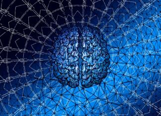 Možgani v petrijevki znajo igrati računalniške igrice brain, web, network