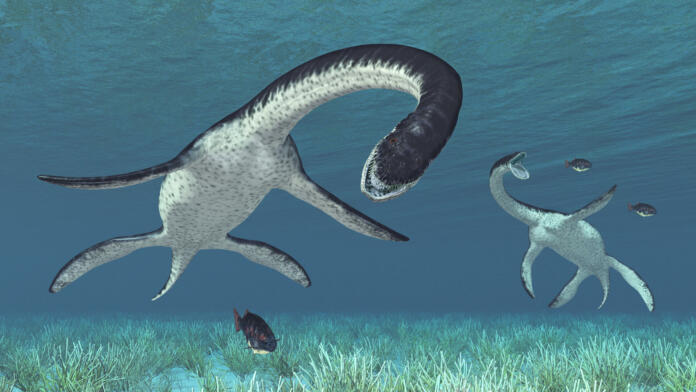 Computer generated 3D illustration with the prehistoric marine reptile Plesiosaurus