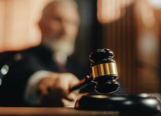 Ali pravica do umetne oploditve pripada tudi istospolno usmerjenim in samskim ženskam? Court of Law and Justice Trial Session: Imparcial Honorable Judge Pronouncing Sentence, striking Gavel. Focus on Mallet, Hammer. Cinematic Shot of Dramatic Not Guilty Verdict. Close-up Shot.