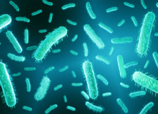 Razkrita 50 let stara skrivnost znanosti E coli is a gram negative bacteria, part of human intestine microbiome, escherichia coli can couse food poisoning