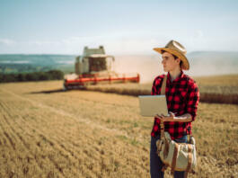 Farmer has care of his wheat field
