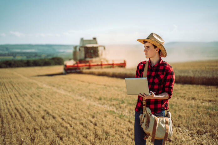 Farmer has care of his wheat field