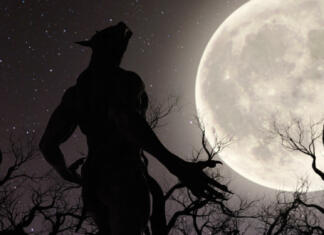 Najboljši filmi o volkodlakih Illustration of a werewolf during the full moon in the creepy forest - 3d rendering