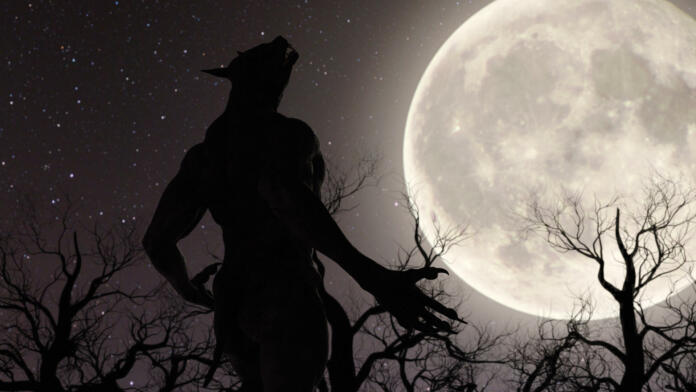 Illustration of a werewolf during the full moon in the creepy forest - 3d rendering