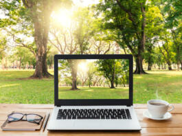 laptop computer and coffee on wood workspace and park background