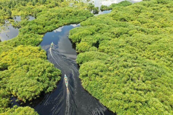 This is Kereng Bangkirai (Sebangau National Park), it has exotic black water out there with stunning green landscape.I took this photo on those boat.Thanks