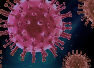 Kako Covid-19 vpliva na črevesje? virus, covid, science