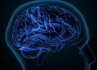 Človeške možganske celice same po sebi znajo igrati igro Pong White matter refers to areas of the central nervous system that are mainly made up of myelinated axons, also called tracts.Long thought to be passive tissue, white matter affects learning and brain functions, modulating the distribution of action potentials, acting as a relay and coordinating communication between different brain regions