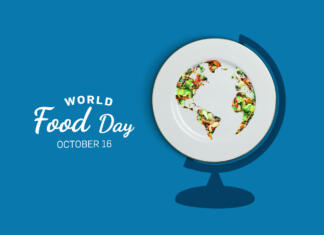 Svetovni dan hrane nikogar ne pušča ob strani world food day concept background. world vegetable day, vegan day concept. Fresh food on plate.