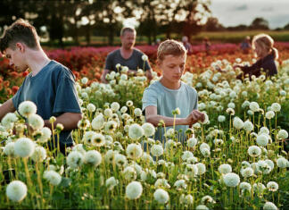Ocena filma: Blizu Film Blizu (Close) režiserja Lukasa Dhonta