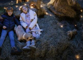 Ocena filma: Kapa Kapa je prvi slovenski celovečerni božični film