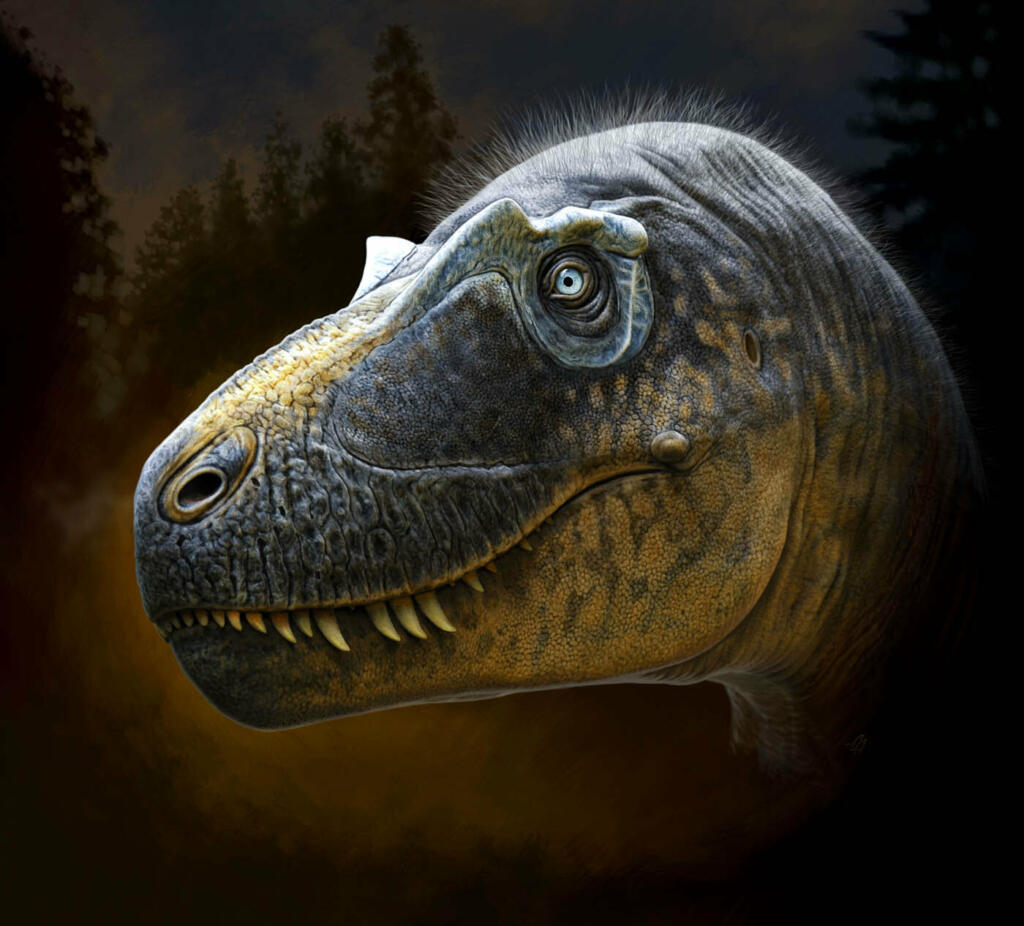 Nova vrsta tiranozavridov je Daspletosaurus wilsoni