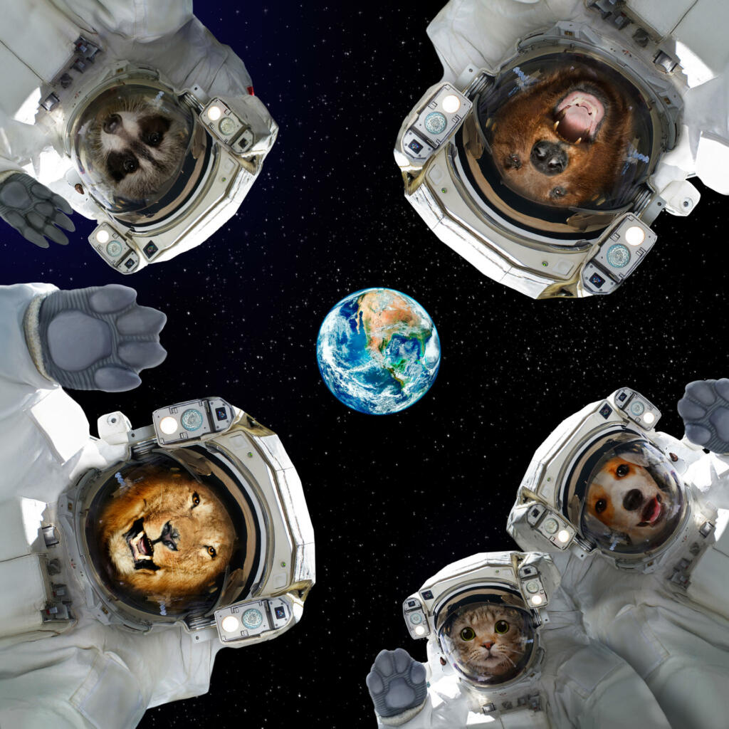 Animals in space suits in space on the background of the planet Earth. Elements of this image furnished by NASA: 
 -  A 'Blue Marble' image of the Earth (https://www.nasa.gov/sites/default/files/images/618486main_earth_full.jpg);
 -  image of the space suit (https://www.flickr.com/photos/nasacommons/29457798212/)