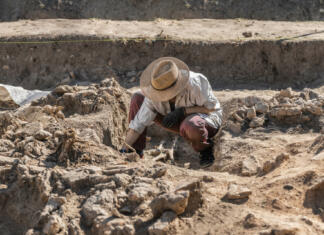 Razkrita pol milijarde let stara skrivnost fosilov Archaeological excavations. Young archaeologist excavating part of human skeleton and skull from the ground.