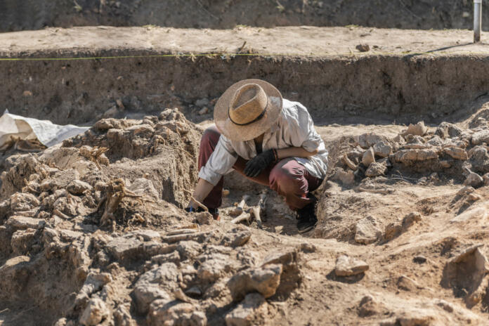 Archaeological excavations. Young archaeologist excavating part of human skeleton and skull from the ground.