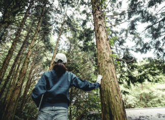 Vloga žensk v gozdarstvu je v Sloveniji podcenjena Asian women working with forestry