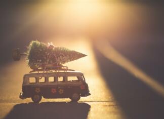 Kam potovati v decembru? Igračka avtobusa z naloženo božično jelko