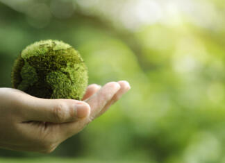 Univerza v Mariboru ima v rokah 24 milijonov evrov projektov Close up of hands holding the earth on a green background. protect nature. Save Earth. concept of the environment World Earth Day