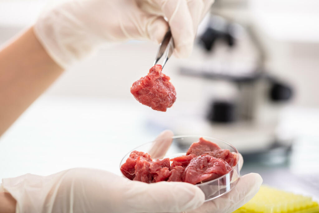 Close-up Of Researcher Inspecting Meat Sample In Laboratory