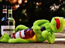 kermit, frog, wine