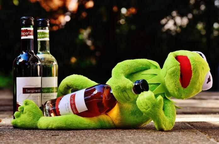 kermit, frog, wine