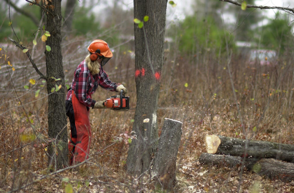 LumberJill