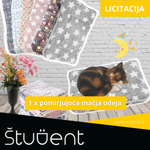 Licitacija mačja odeja
