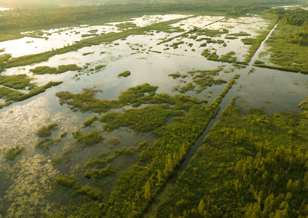 Marshland and Swamp landscape. Peatland in wet. Wild mire. East European swamps and Peat Bogs. Swampy land and wetland, marsh, bog. Mining peat. Wet mire after peat extraction. Bog on Flooded field.